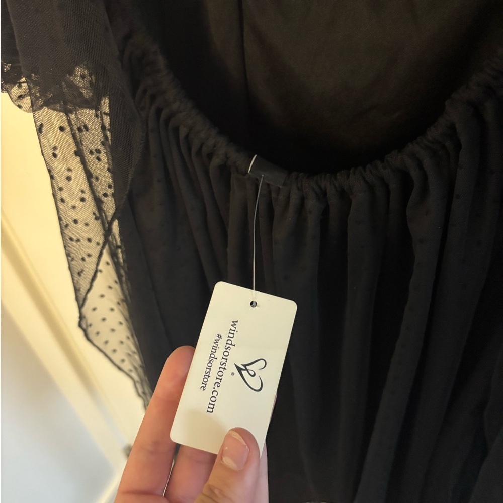Windsor Black Polka Dot Sheer Dress - Picture 5 of 12